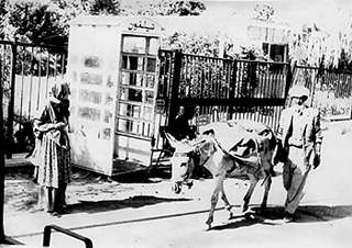 oni5.jpg (20283 bytes)