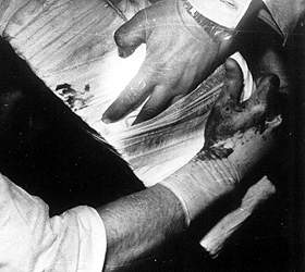 we12.jpg (13534 bytes)