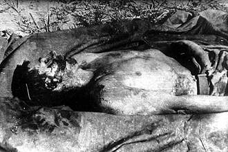 we13.jpg (21096 bytes)