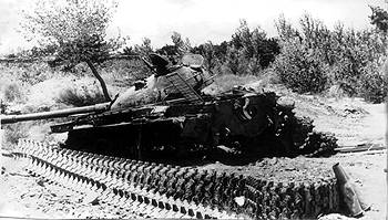 we7.jpg (24252 bytes)