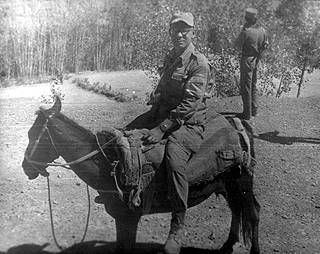 we8.jpg (20705 bytes)