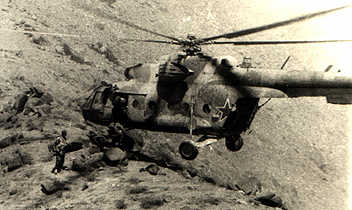 10.jpg (16233 bytes)