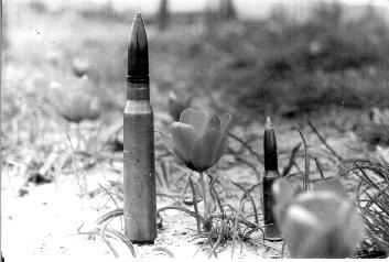 Pic4.jpg (16401 bytes)