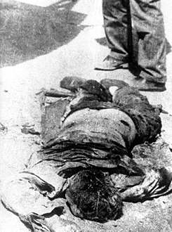 mi11.jpg (18562 bytes)