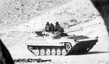 mi3.jpg (17408 bytes)