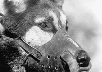 mi7.gif (28747 bytes)