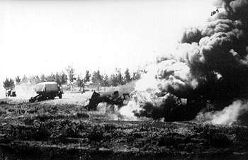 mi9.jpg (13785 bytes)