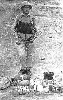 1986. .        .        .  v  .