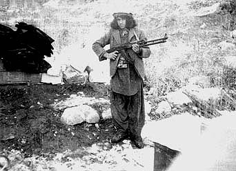  .  .  1988-89.     .