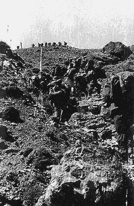 foto10.gif (31279 bytes)