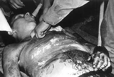 foto13.jpg (19311 bytes)