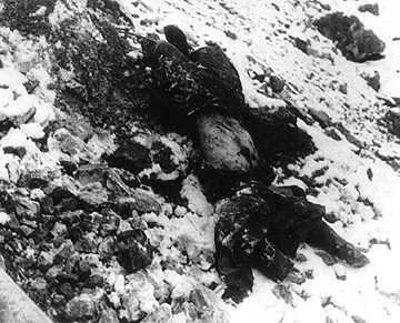 foto14.jpg (24797 bytes)