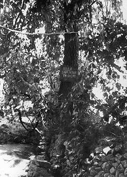 foto3.jpg (30770 bytes)