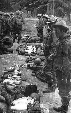 foto8.jpg (22223 bytes)