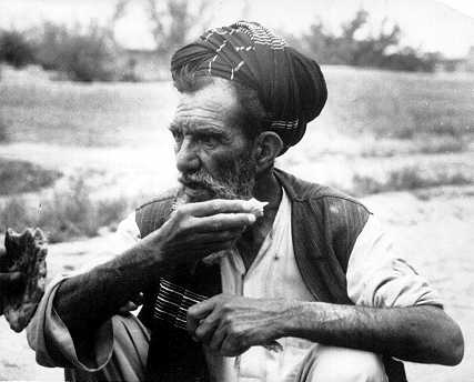 oni2.jpg (19177 bytes)