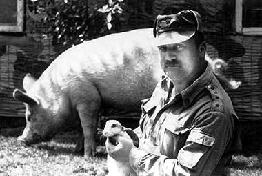 we2.jpg (17717 bytes)