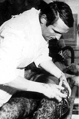 we8.jpg (14895 bytes)