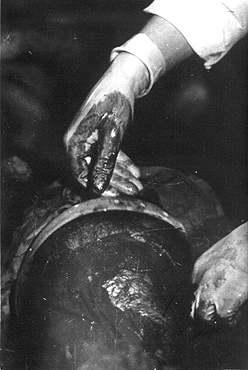 we10.jpg (13159 bytes)