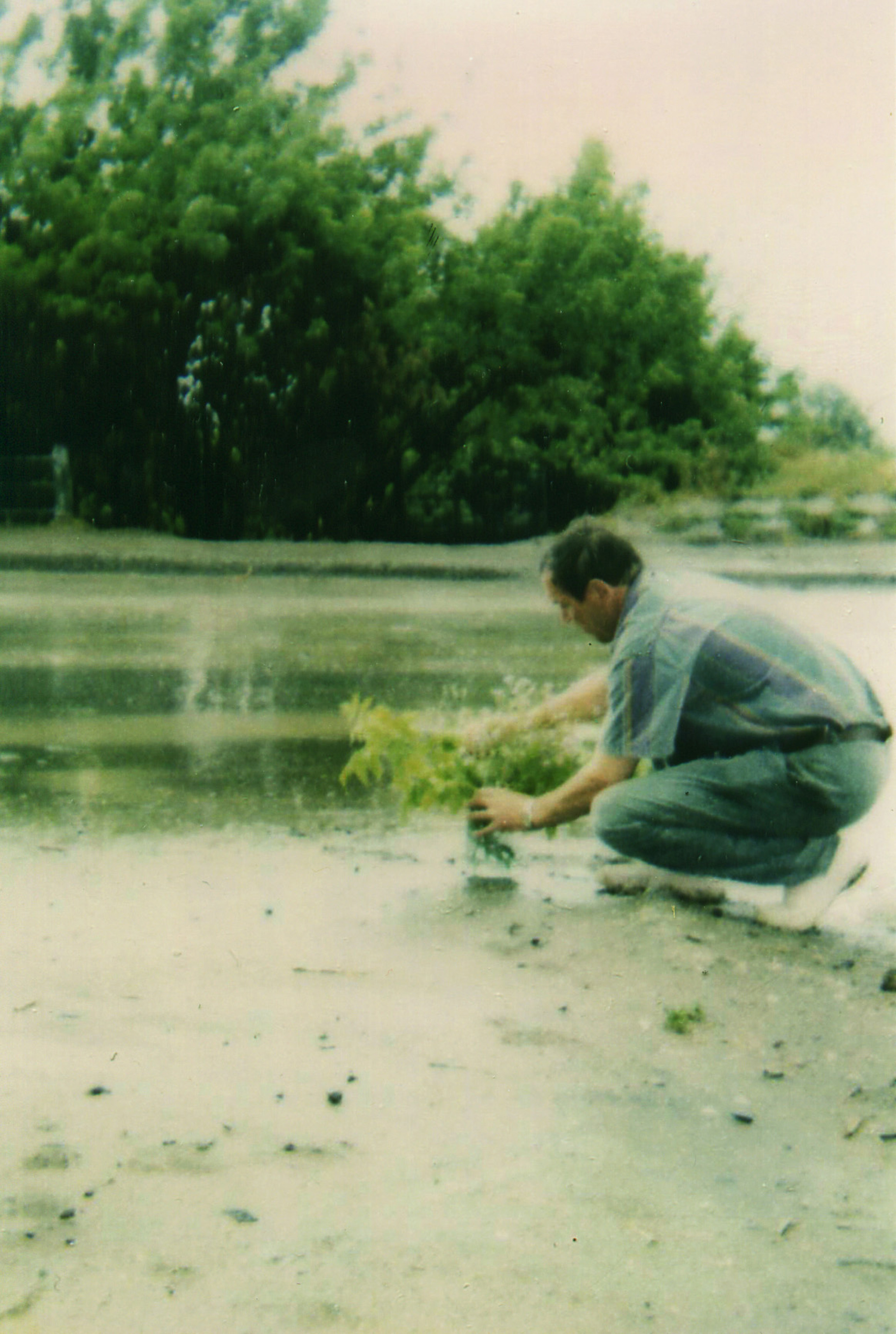 Памяти павших в Чечне -