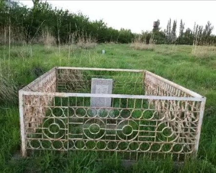 НАЗАРОВ
              Шамсиддин Мустофоевич