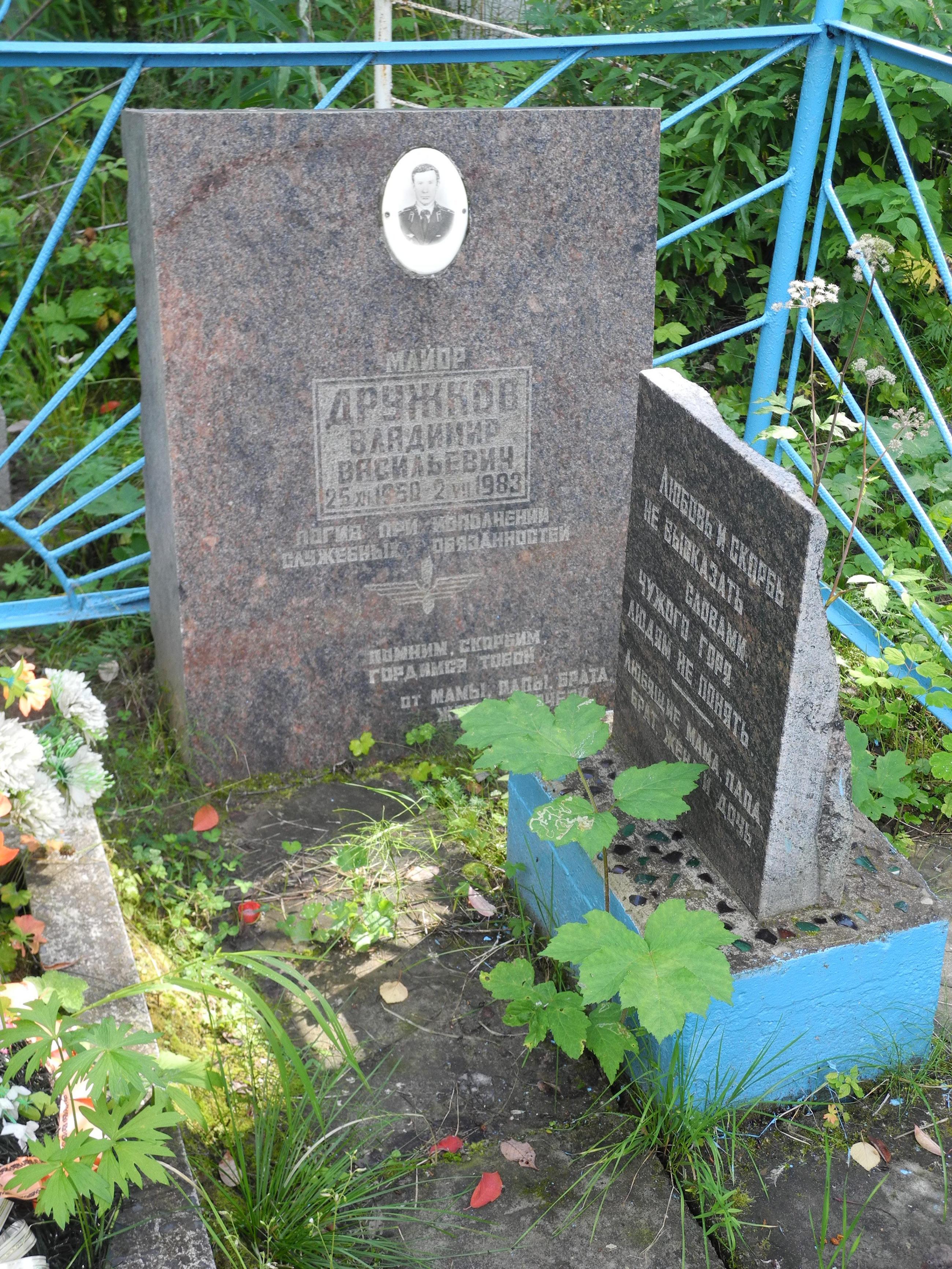 ДРУЖКОВ Владимир
                      Васильевич