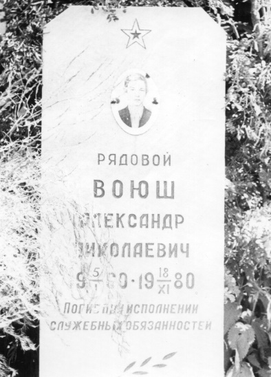 ВОЮШ Александр
                      Николаевич