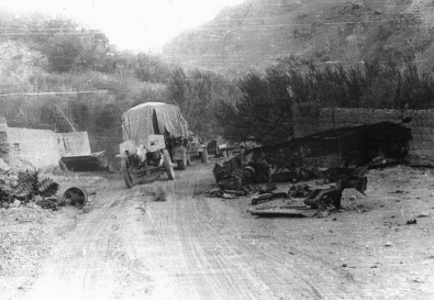 ВОЮШ Александр
                      Николаевич