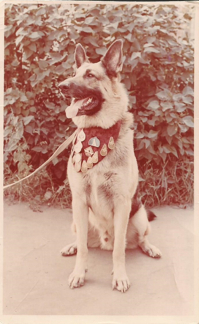 Семенко Игорь
                      Александрович