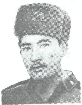 Памяти павших в Афганской войне