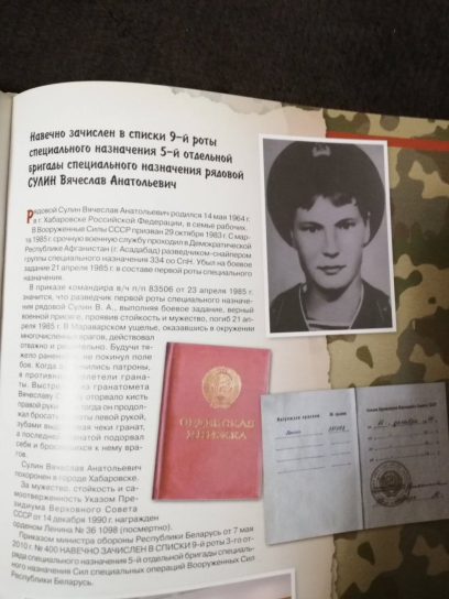 СУЛИН Вячеслав
                      Анатольевич