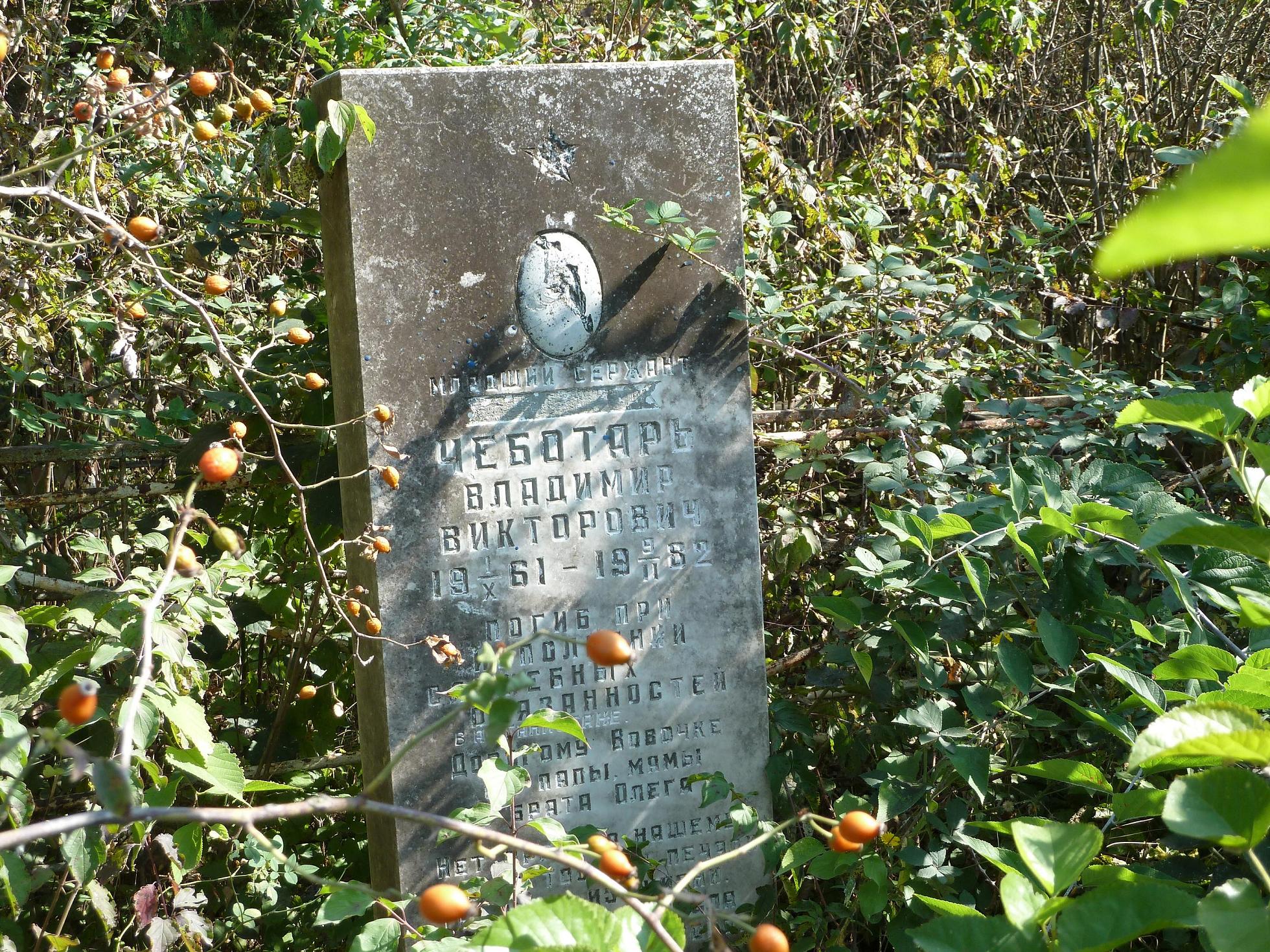 Чеботарь Владимир
                      Викторович