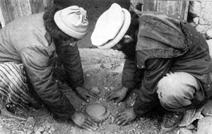 ШВЕЦОВ
                        Николай Васильевич