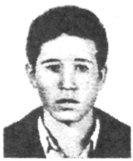 Памяти павших в Афганской войне