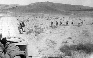 ШТУРМИН Николай
                        Константинович