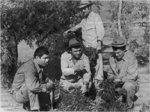 АНТОНОВИЧ Николай
                      Иванович