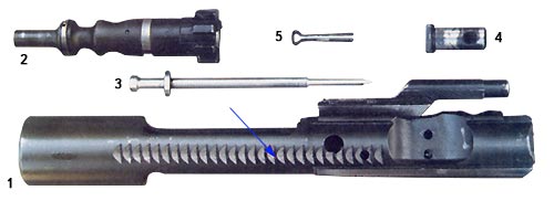 Затвор в разобранном виде.