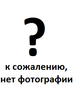 Памяти павших в Афганской
                    войне